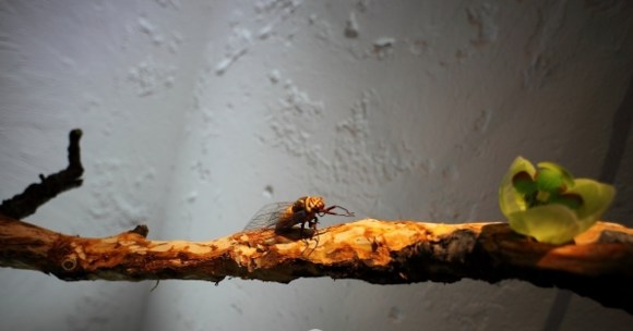 鳥語花香——上海辦公室設(shè)計