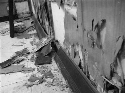 白蟻的危害，每年造成的直接經(jīng)濟(jì)損失在3000萬(wàn)元以