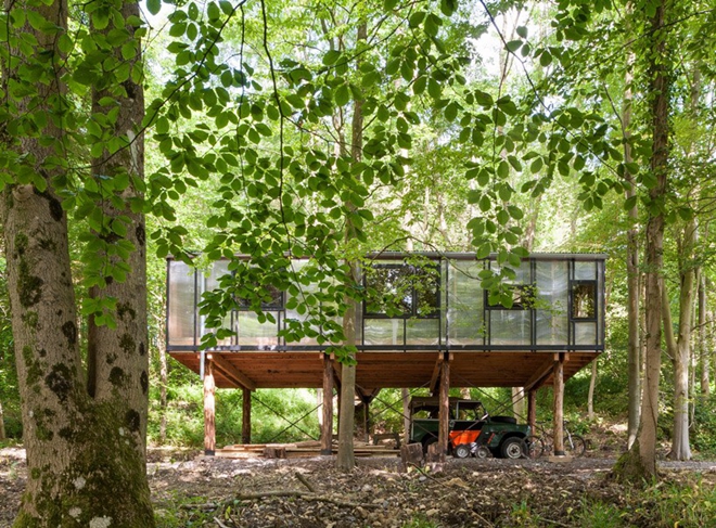 森林中的辦公室也可以很有愛！