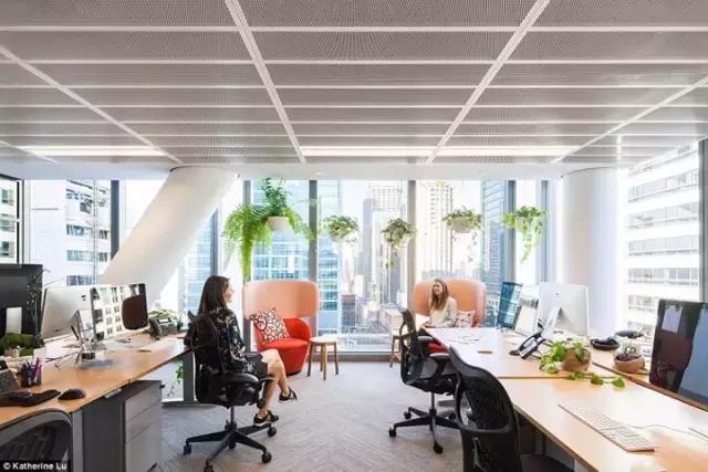 2000m2 像家一樣溫馨的辦公室，看完我心動了